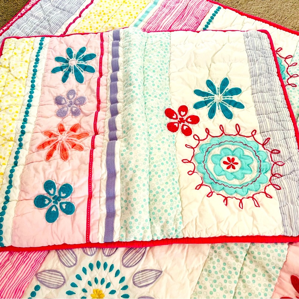 Girls Pottery Barn Kids Twin Quilt Set